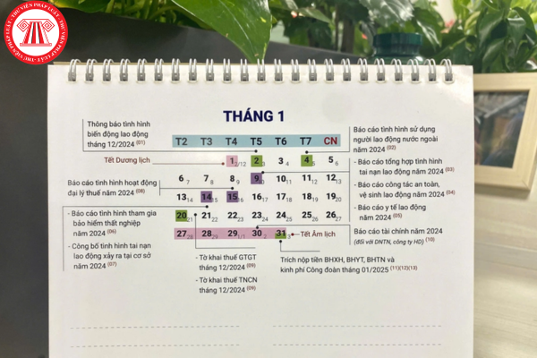 Tư vấn thuế ATA